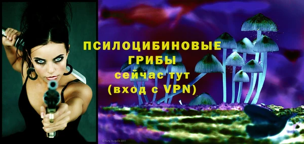прущие крисы Белоозёрский