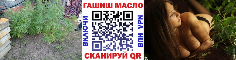 ТГК вейп с тгк  Купить закладки  Вышний Волочёк 