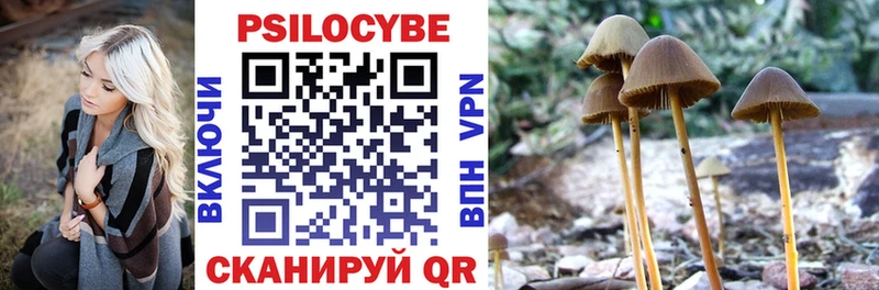 Псилоцибиновые грибы мухоморы  Купить где  Вышний Волочёк 